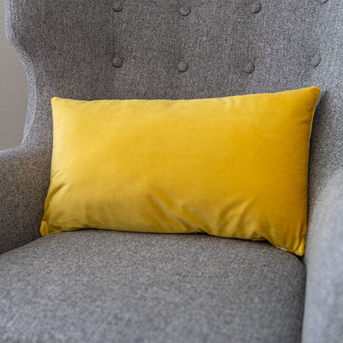 Set of 2 Velvet Throw Pillow, Decorative Pillowcases Solid Colors (With/Without Inserts) 4 sizes to choose from