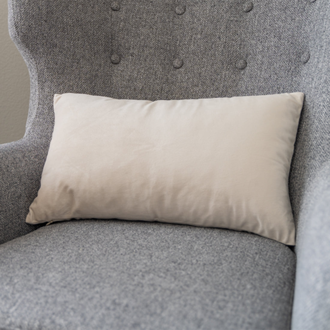 Set of 2 Velvet Throw Pillow, Decorative Pillowcases Solid Colors (With/Without Inserts) 4 sizes to choose from